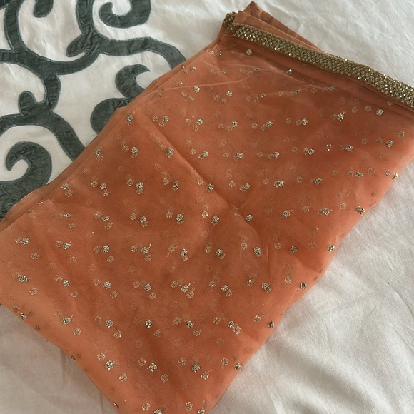 CUSTOM INDIAN PEACH LEHENGA SET - Picture 13 of 14